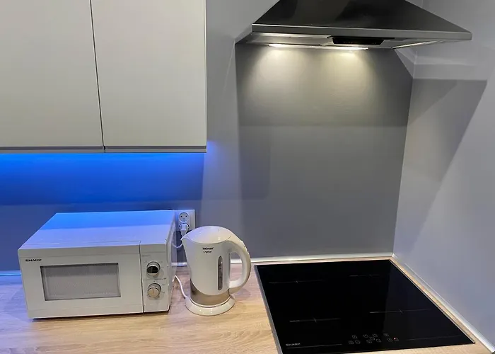 公寓 Good 3 Sypialnie Parking 罗兹